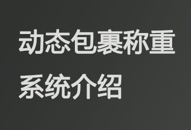 ​动态包裹称重系统